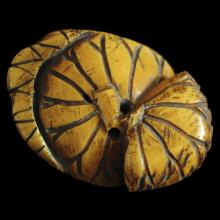 Netsuke en ivoire, grenouille